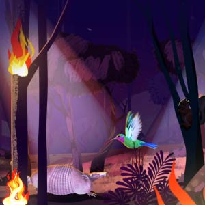 La légende du colibri 